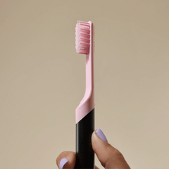 Standard Soft Brush Head Refill