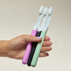 Sonic Toothbrush